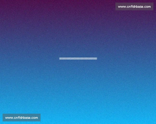 聚焦全球赛事实时动态打造权威体育直播资讯平台综合服务新体验 聚焦全球赛事实时动态打造权威体育直播资讯平台综合服务新体验