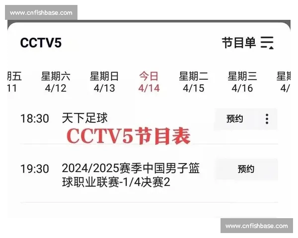 篮球官网入口权威资讯赛事数据与精彩直播平台一站式服务体验中心 篮球官网入口权威资讯赛事数据与精彩直播平台一站式服务体验中心