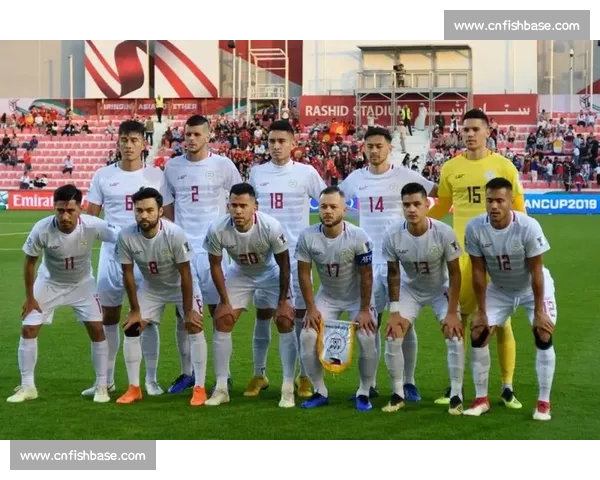 全球归化球员名录解析及各国效力情况全面盘点 全球归化球员名录解析及各国效力情况全面盘点