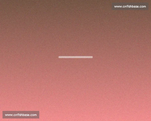 体育官方网站：全面解析最新赛事动态、精彩活动与行业趋势