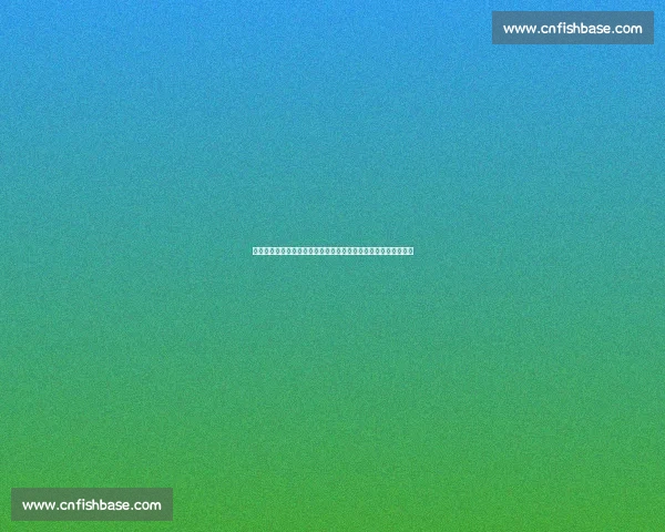 体育资讯全方位覆盖精彩赛事即时报道让你随时掌握全球体育动态