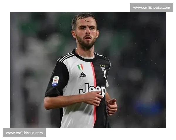 意甲PC版全面攻略与赛季数据解析全指南 意甲PC版全面攻略与赛季数据解析全指南